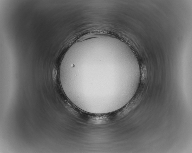 X0000113040278200909171527