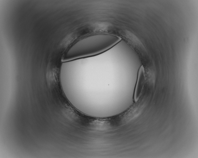 X0000113040280200909171527