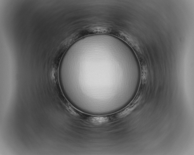 X0000113040281200909171527