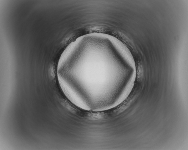 X0000113040282200909171527
