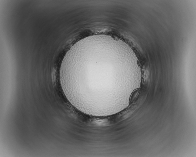 X0000113040283200909171527