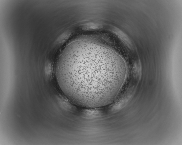 X0000113040284200909171527