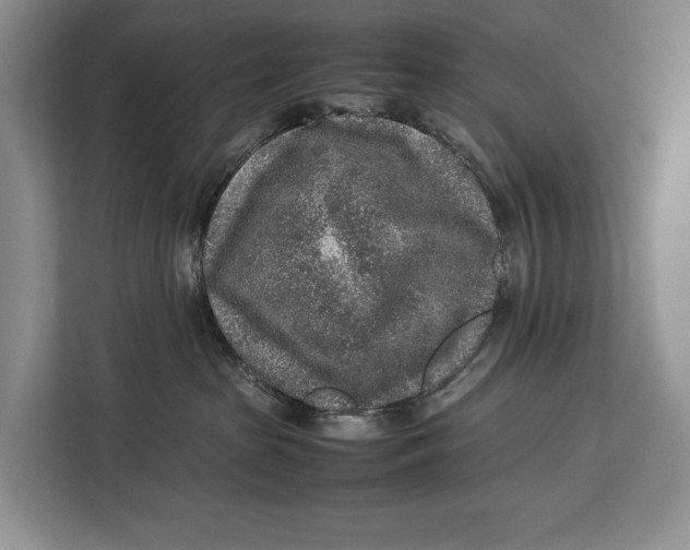 X0000113040285200909171527