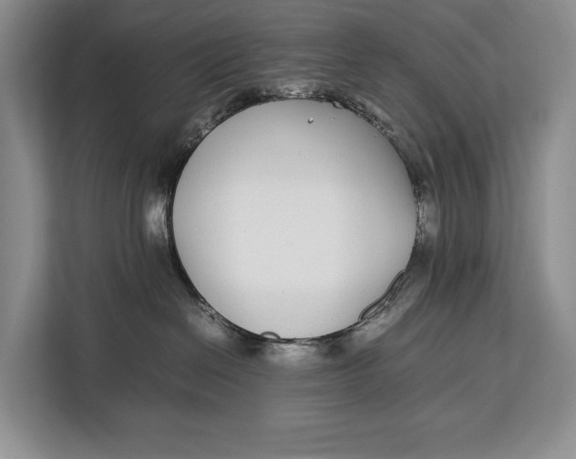 X0000113040286200909171527
