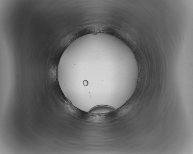 X0000113040288200909171527