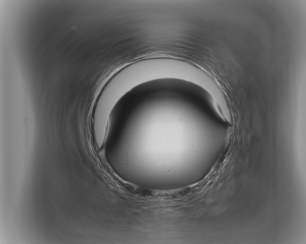 X0000113040289200909171526