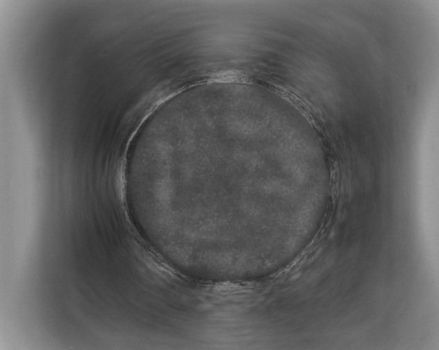 X0000113040290200909171526