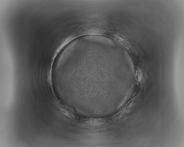 X0000113040292200909171526