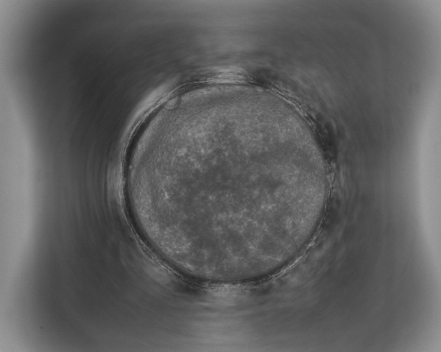 X0000113040293200909171526