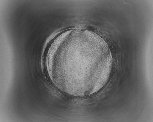 X0000113040294200909171526