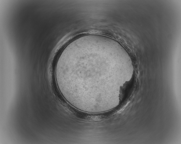 X0000113040295200909171526