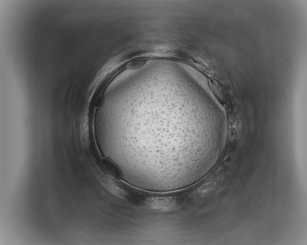 X0000113040296200909171526