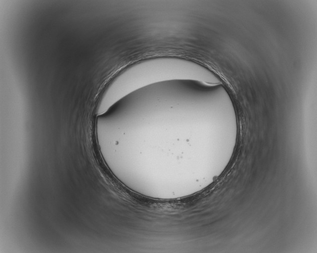 X0000113040297200909171526