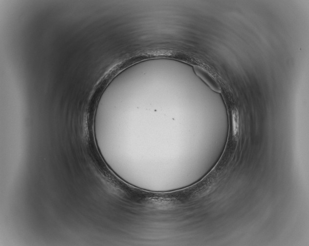 X0000113040300200909171526