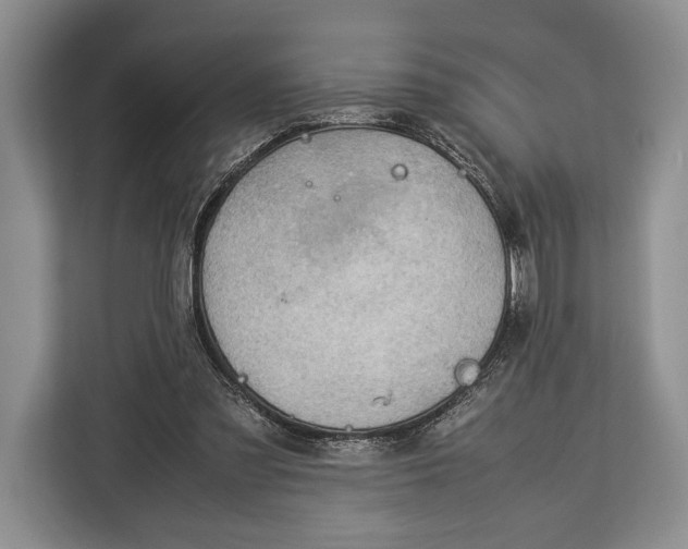 X0000113040301200909171526