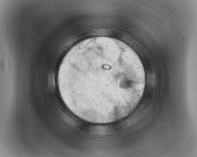 X0000113040302200909171526