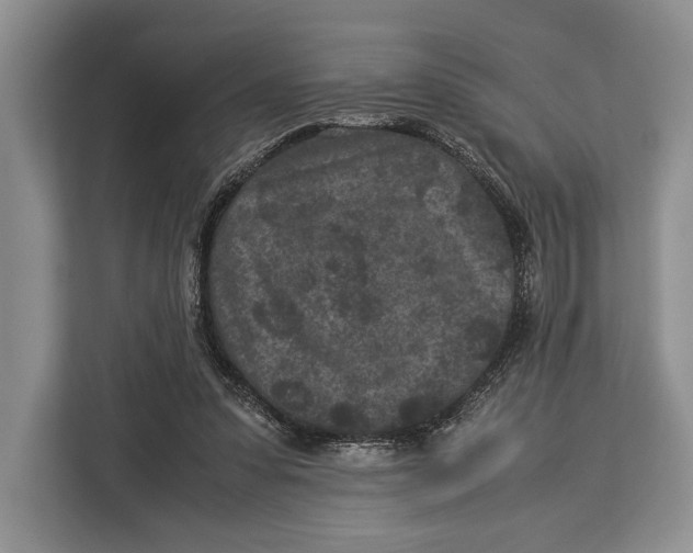 X0000113040303200909171526