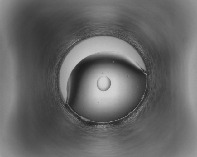 X0000113040305200909171526