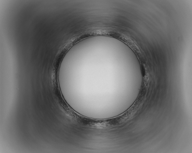 X0000113040306200909171526