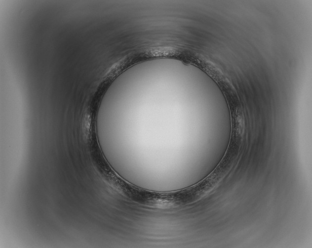 X0000113040308200909171526