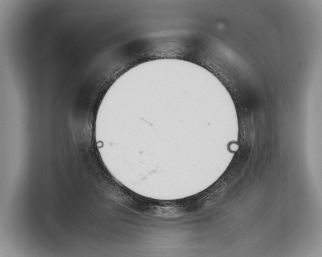 X0000113040309200909171526