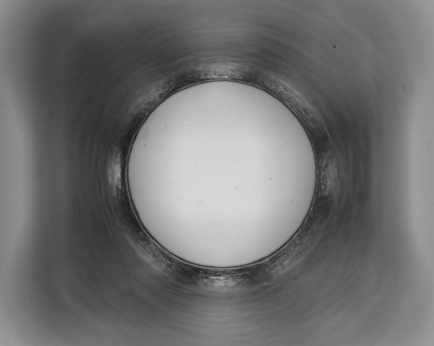 X0000113040310200909171526