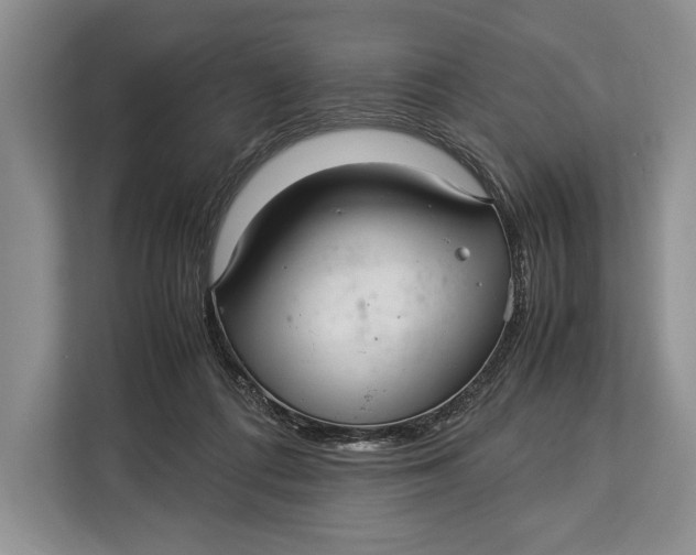 X0000113040312200909171526