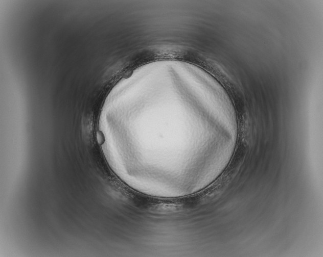 X0000113040314200909171526
