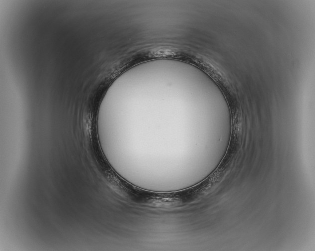 X0000113040315200909171526