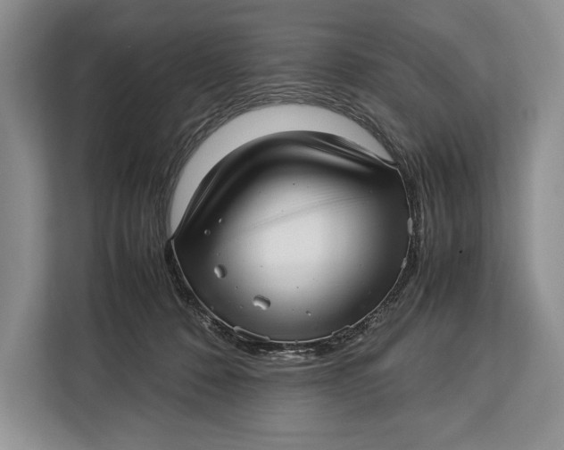 X0000113040320200909171526