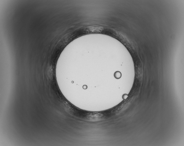 X0000113040321200909171526