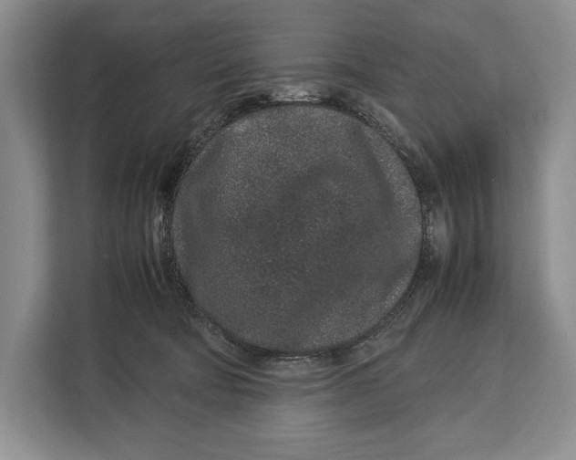 X0000113040322200909171526