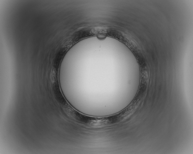 X0000113040323200909171526
