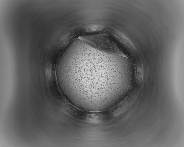 X0000113040324200909171526