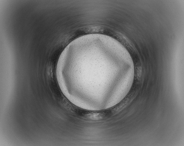 X0000113040326200909171526