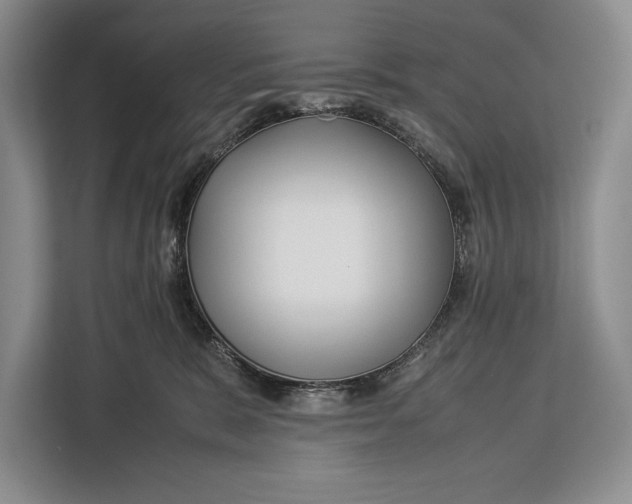 X0000113040327200909171526
