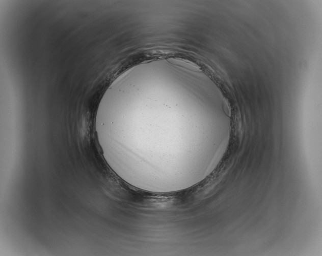 X0000113040328200909171526