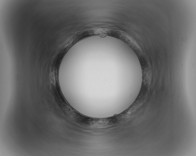 X0000113040329200909171526