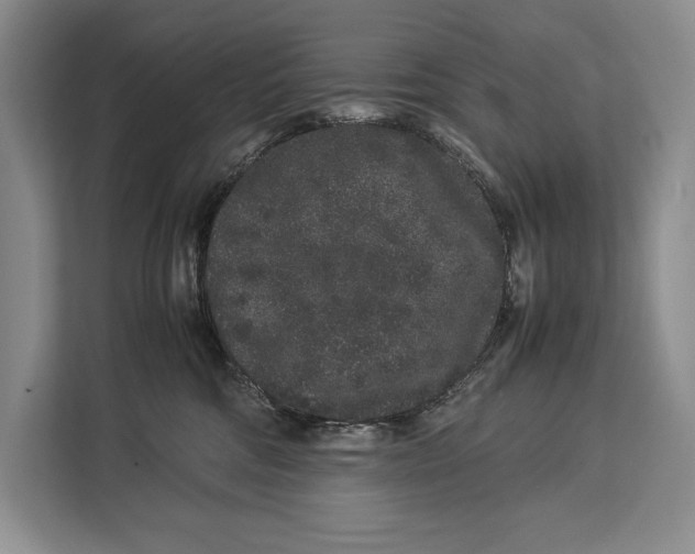 X0000113040330200909171526