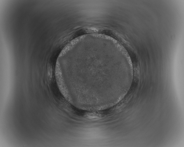 X0000113040331200909171526