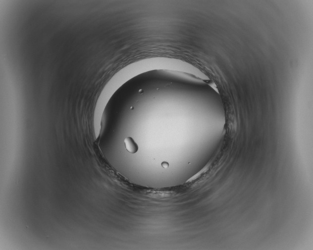 X0000113040332200909171526