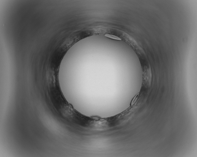 X0000113040333200909171526