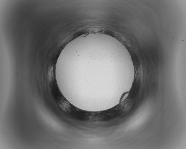 X0000113040335200909171526