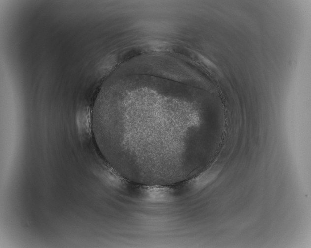 X0000113040336200909171526