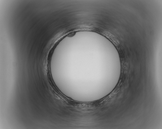X0000113040338200909171525