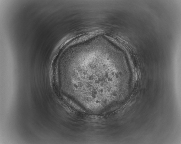 X0000113040339200909171525