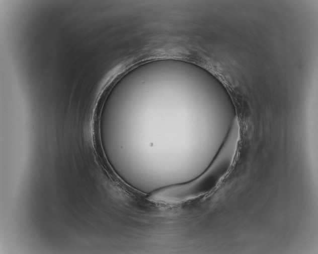 X0000113040340200909171525