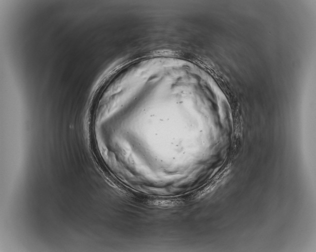 X0000113040341200909171525