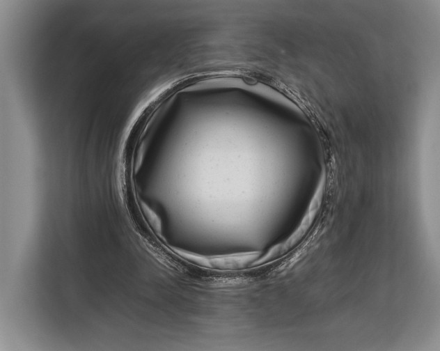 X0000113040342200909171525