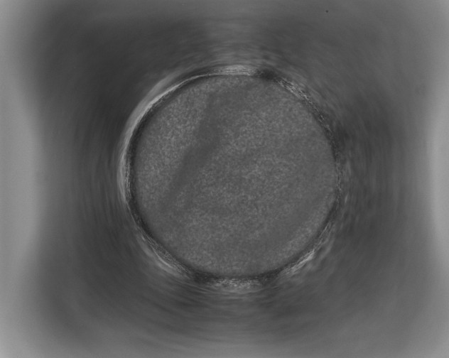 X0000113040343200909171525